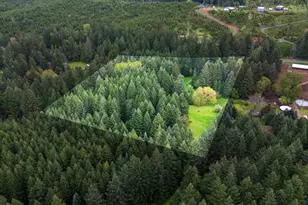 23939 Raze Rd, Elmira, OR 97437 - Photo 44