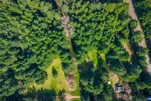 23939 Raze Rd, Elmira, OR 97437 - Photo 36