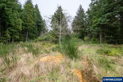 (Next To) 120 NE Waldport Heights Dr, Waldport, OR 97394 - Photo 14