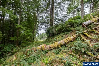 (Next To) 120 NE Waldport Heights Dr, Waldport, OR 97394 - Photo 16