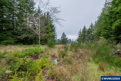 (Next To) 120 NE Waldport Heights Dr, Waldport, OR 97394 - Photo 6