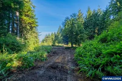 (Next To) 120 NE Waldport Heights Dr, Waldport, OR 97394 - Photo 8