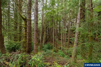 (Next To) 120 NE Waldport Heights Dr, Waldport, OR 97394 - Photo 4