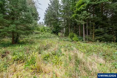 (Next To) 120 NE Waldport Heights Dr, Waldport, OR 97394 - Photo 10