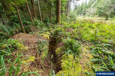 (Next To) 120 NE Waldport Heights Dr, Waldport, OR 97394 - Photo 18