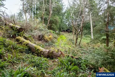 (Next To) 120 NE Waldport Heights Dr, Waldport, OR 97394 - Photo 20