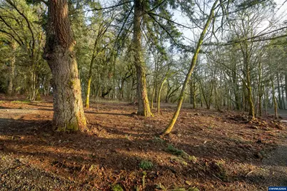 2881 Forest Haven Wy S, Salem, OR 97302 - Photo 12