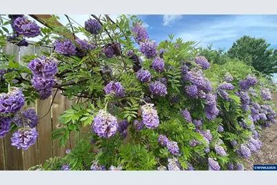 435 SE Belgian St, Sublimity, OR 97385 - Photo 10