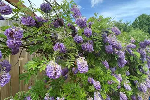 435 SE Belgian St, Sublimity, OR 97385 - Photo 10