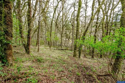 Ta#257703 NW Maser Dr, Corvallis, OR 97330 - Photo 8