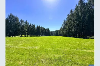 753253 Mosby Creek Rd, Cottage Grove, OR 97424 - Photo 8