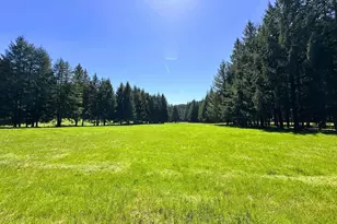 753253 Mosby Creek Rd, Cottage Grove, OR 97424 - Photo 8