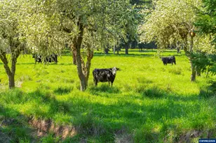 753253 Mosby Creek Rd, Cottage Grove, OR 97424 - Photo 34