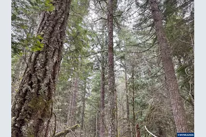 753253 Mosby Creek Rd, Cottage Grove, OR 97424 - Photo 44