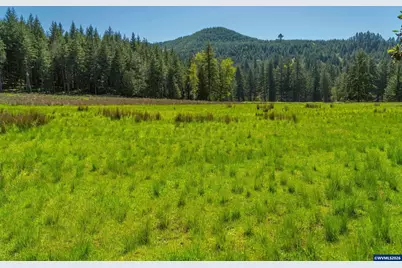 753253 Mosby Creek Rd, Cottage Grove, OR 97424 - Photo 36