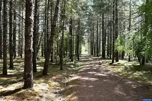 27494 S Boundary Rd, Corvallis, OR 97330 - Photo 38