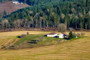 42172 Rodgers Mountain Lp, Scio, OR 97374 - Photo 46