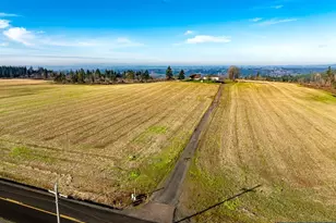 42172 Rodgers Mountain Lp, Scio, OR 97374 - Photo 4