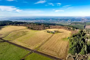 42172 Rodgers Mountain Lp, Scio, OR 97374 - Photo 42