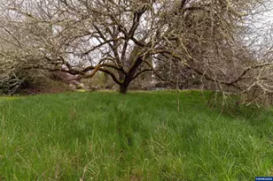 1370 SW 35th St, Corvallis, OR 97333 - Photo 38