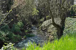 391 McNary Heights Dr N, Keizer, OR 97303 - Photo 42