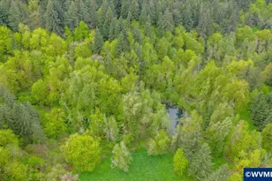 10425 Edmunson Dr SE, Salem, OR 97317 - Photo 18