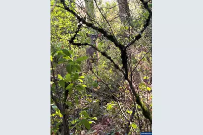 Next To 725 Shannon Dr NW, Albany, OR 97321 - Photo 10