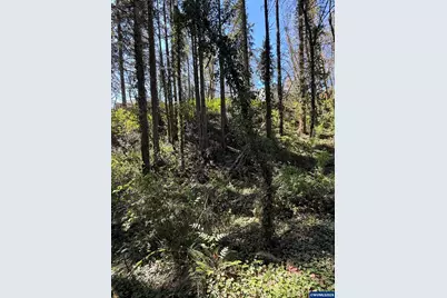 Next To 725 Shannon Dr NW, Albany, OR 97321 - Photo 18