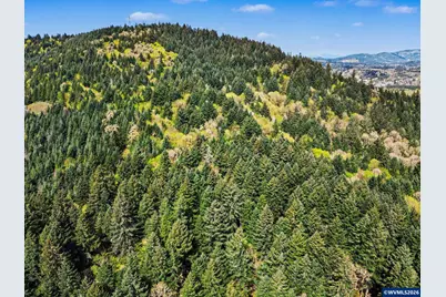 25100 Aurora (Adj To) Ln, Philomath, OR 97370 - Photo 2