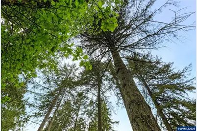 8732 Wildlife Ln SE, Salem, OR 97317 - Photo 42