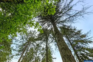 8732 Wildlife Ln SE, Salem, OR 97317 - Photo 42