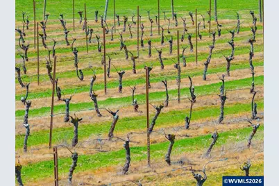 25357 High Pass Rd, Junction City, OR 97448 - Photo 42