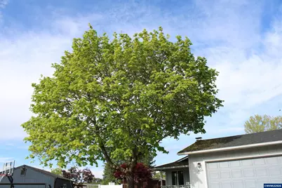 6259 Chapman Pl SE, Albany, OR 97321 - Photo 2