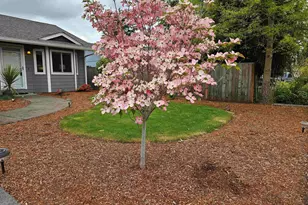4814 Southstar Ct NE, Salem, OR 97305 - Photo 6