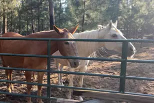 68964 SW Graham Ct, Sisters, OR 97759 - Photo 18