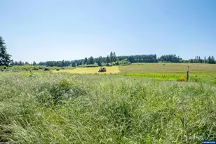 25641 S Schockley Rd, Beavercreek, OR 97004 - Photo 34