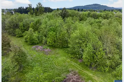 Parcel 2 &amp; 3 Vaughan Ln, Lebanon, OR 97355 - Photo 20