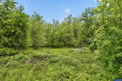 Parcel 2 &amp; 3 Vaughan Ln, Lebanon, OR 97355 - Photo 6