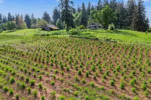 17135 Herigstad Rd NE, Silverton, OR 97381 - Photo 44