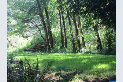 26809 Cecil Ln, Alsea, OR 97324 - Photo 2