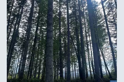 Lot 13 SW Rock Creek Rd, Sheridan, OR 97378 - Photo 2