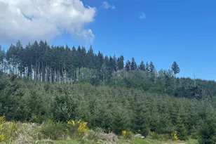 Lot 13 SW Rock Creek Rd, Sheridan, OR 97378 - Photo 1