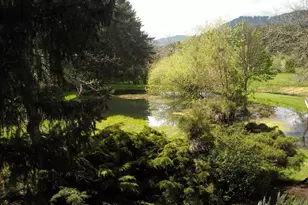 110 NE Thousand Oak Dr, Corvallis, OR 97330 - Photo 48