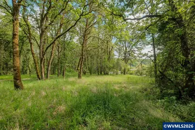 0 NW Kouns Dr, Albany, OR 97321 - Photo 16