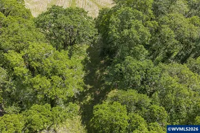 0 NW Kouns Dr, Albany, OR 97321 - Photo 24