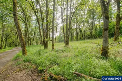 0 NW Kouns Dr, Albany, OR 97321 - Photo 10