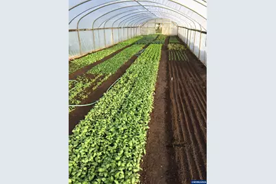 8962 S Heinz Rd, Canby, OR 97013 - Photo 34