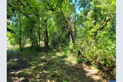 0 Oak Grove (Vacant Lot Adj) Dr NW, Albany, OR 97321 - Photo 12