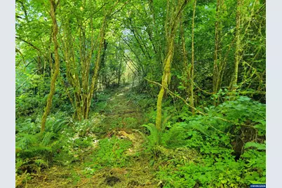0 Oak Grove (Vacant Lot Adj) Dr NW, Albany, OR 97321 - Photo 30