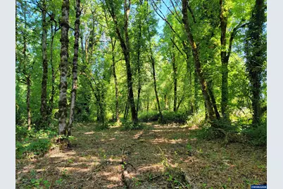 0 Oak Grove (Vacant Lot Adj) Dr NW, Albany, OR 97321 - Photo 28